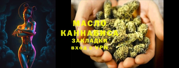 молекула духа Кулебаки