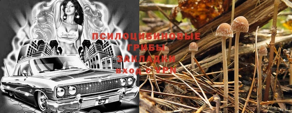 spice Абдулино
