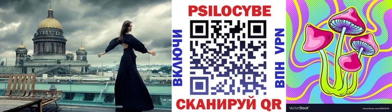 Псилоцибиновые грибы Cubensis  Краснозаводск 